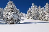 Winter ski tourism in Greece